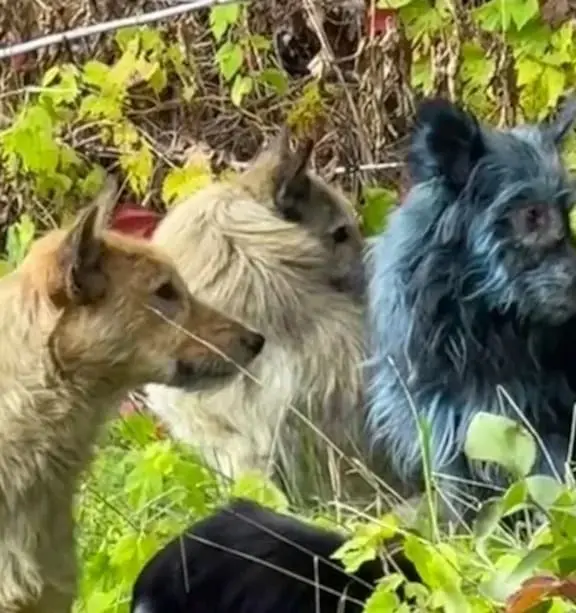 059gey HCFHO7G2NNEGVBO6LKLUZ5YTO4