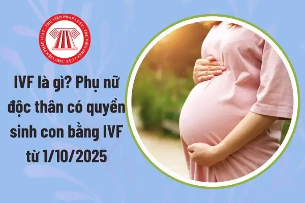 0d9o8w phu nu doc than co quyen sinh con bang ivf