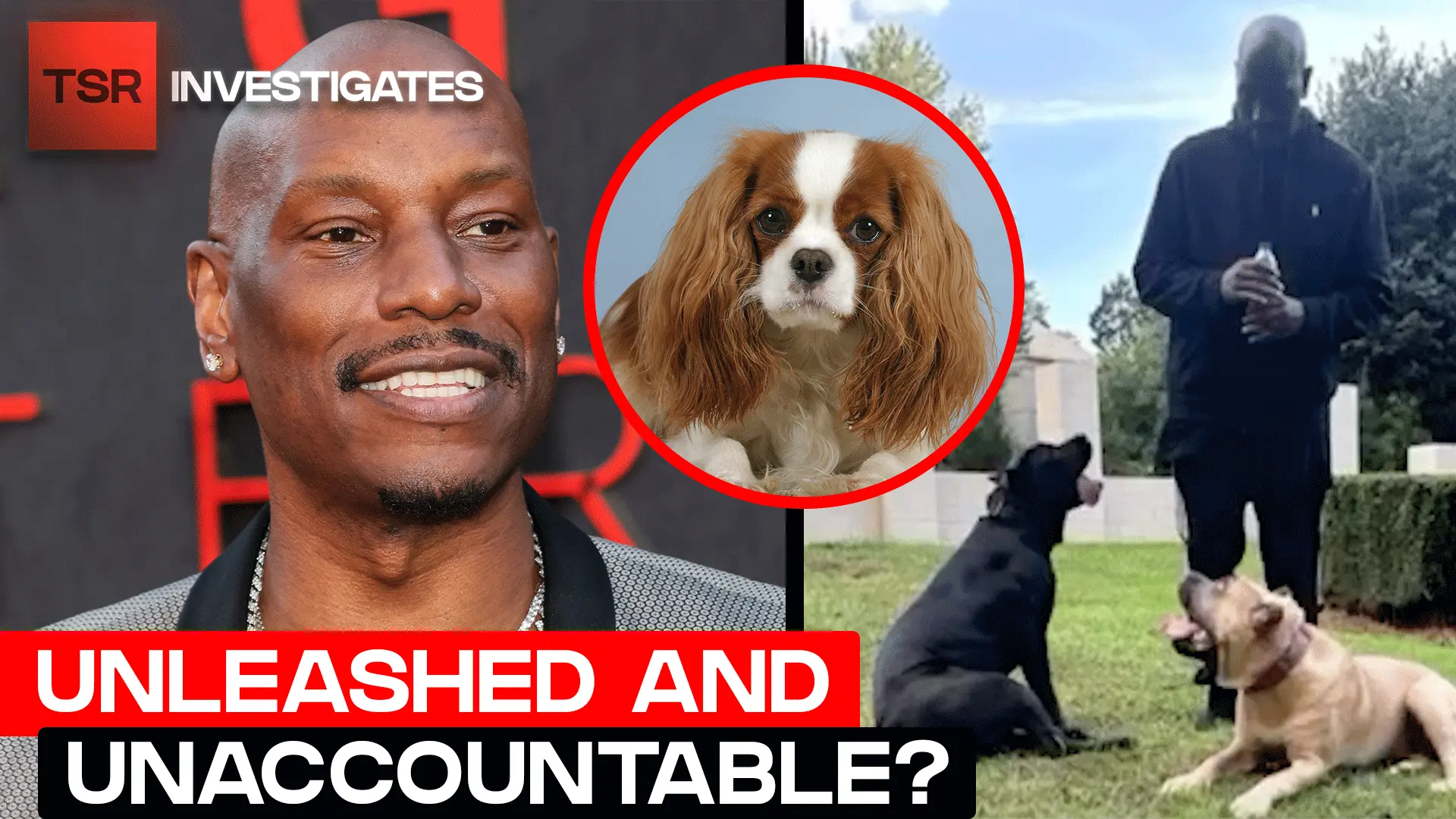 0fowvl_Tyrese-Gibson-Facing-Charges-After-Dog-Attack-in-Atlanta-Neighborhood-TSR-Investigates.webp