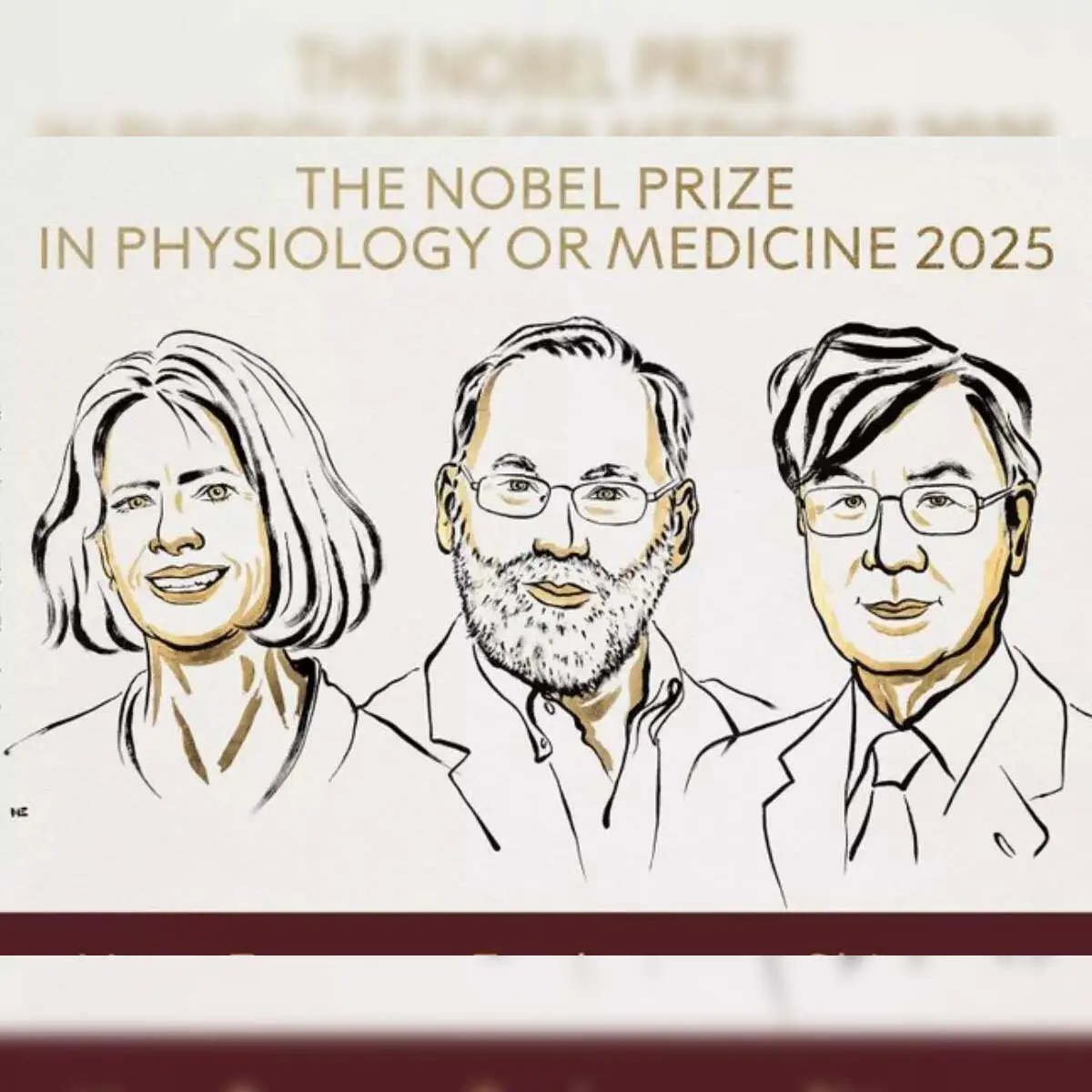 3ejeii nobel prize 2025 in medicine awarded to mary e brunkow fred ramsdell and shimon sakaguchi for discoveries in immune tolerance