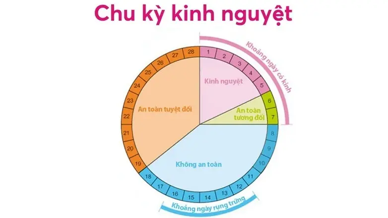 5cn4gp bang tinh chu ky kinh nguyet va thoi diem rung trung 2 2c922337b6