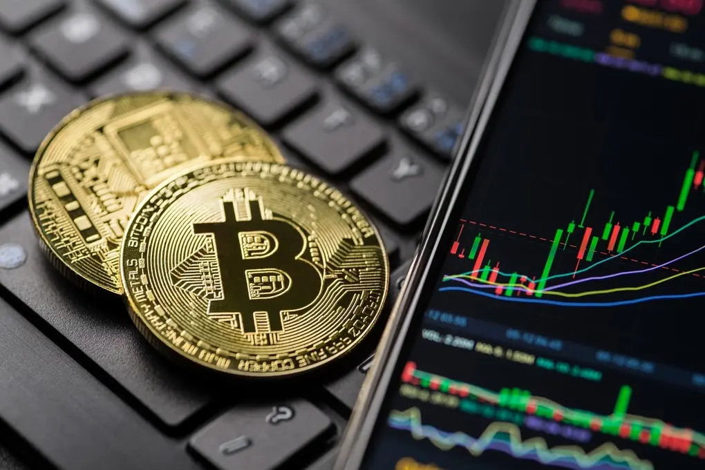 6xwzbx bitcoin national economy newspaper 1741771151286