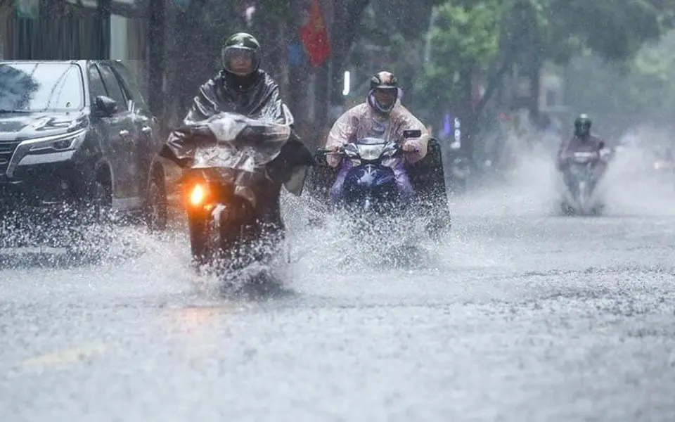 7j8te4 mua dong rai ra 17605690927112028843768 0 30 600 990 crop 1760569121702805680490