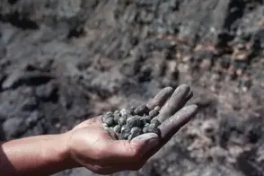 7p71is person holds handful manganese crop 1732250472291