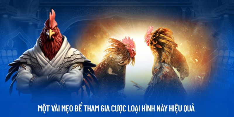 da ga noi la gi