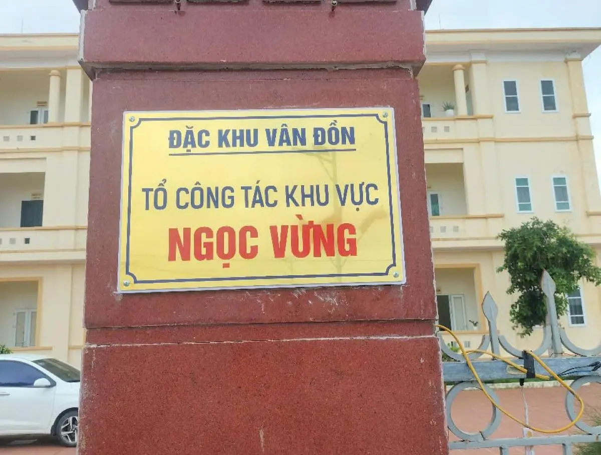 dxjcqf Dac Khu Van Don To C