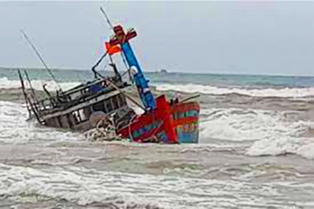 frcsmd tau ca bi tong chim 1 2523 8817.jpg