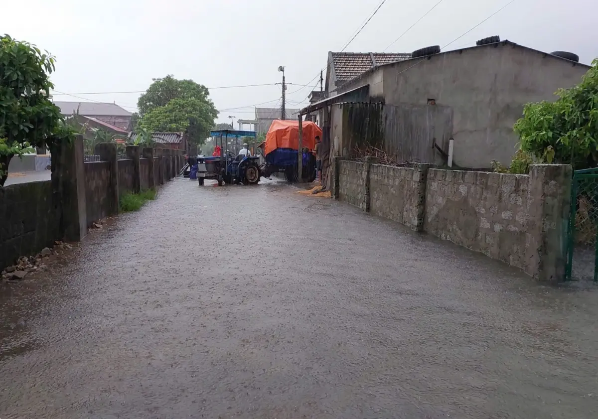 g4iiv9 mua lon tai phia bac tinh quang tri