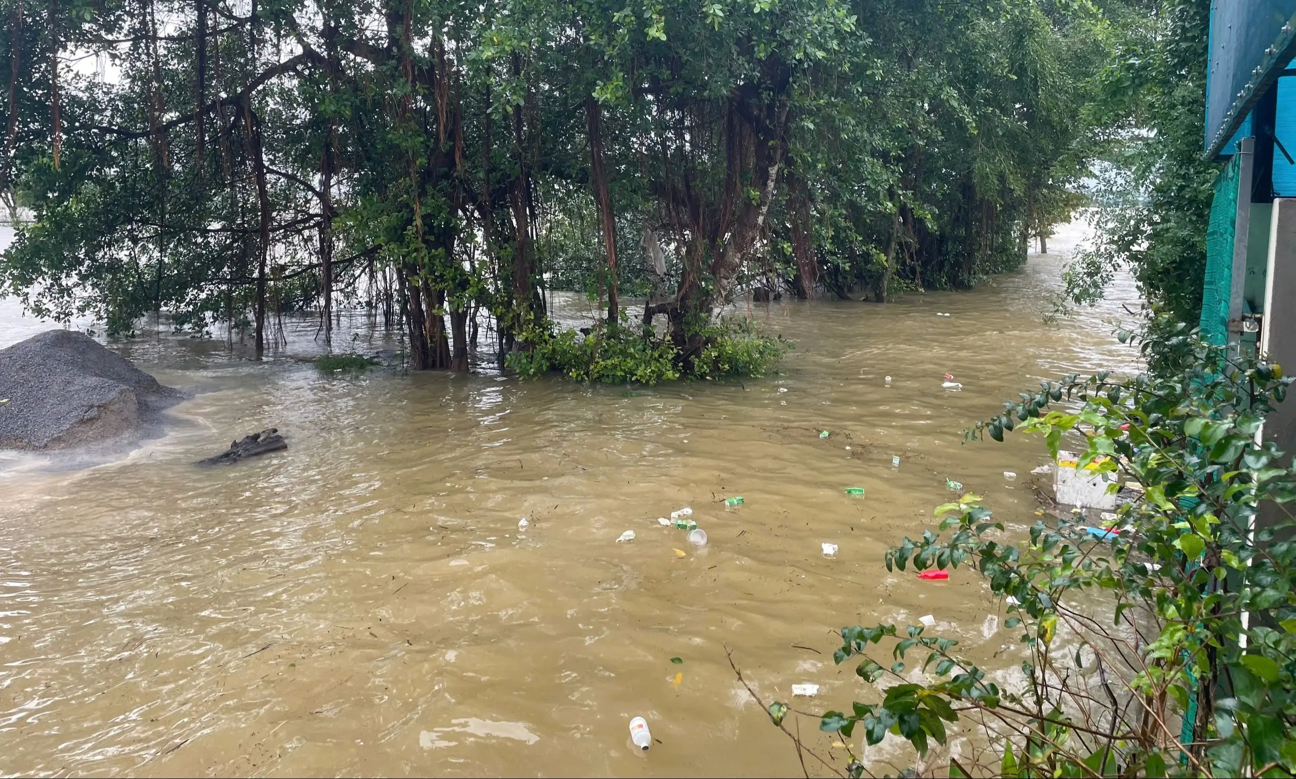 hsqbz7 edit 2 17617874872391565586143