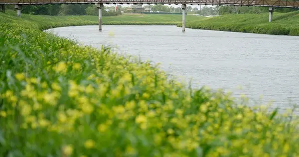 ipslt4 houston bayous bodies found land 1760143515039 17601435154261808848922 0 0 405 648 crop 1760143587739329365381