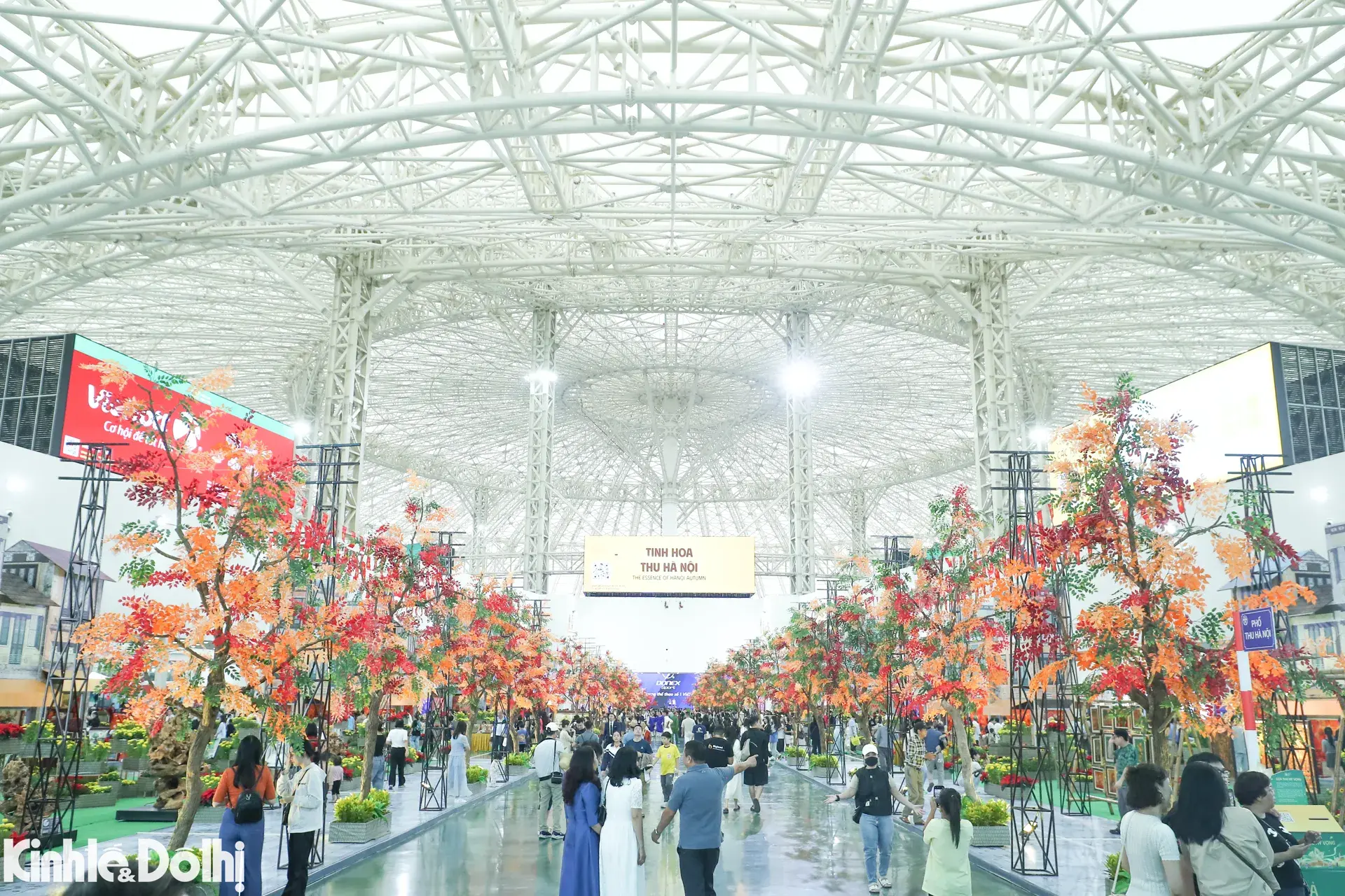 jc27d6 dnt 3397 1761498855