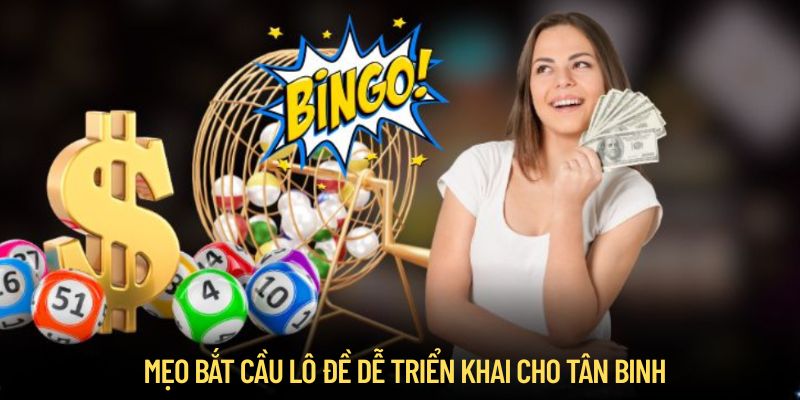 meo bat cau lo de cho tan binh