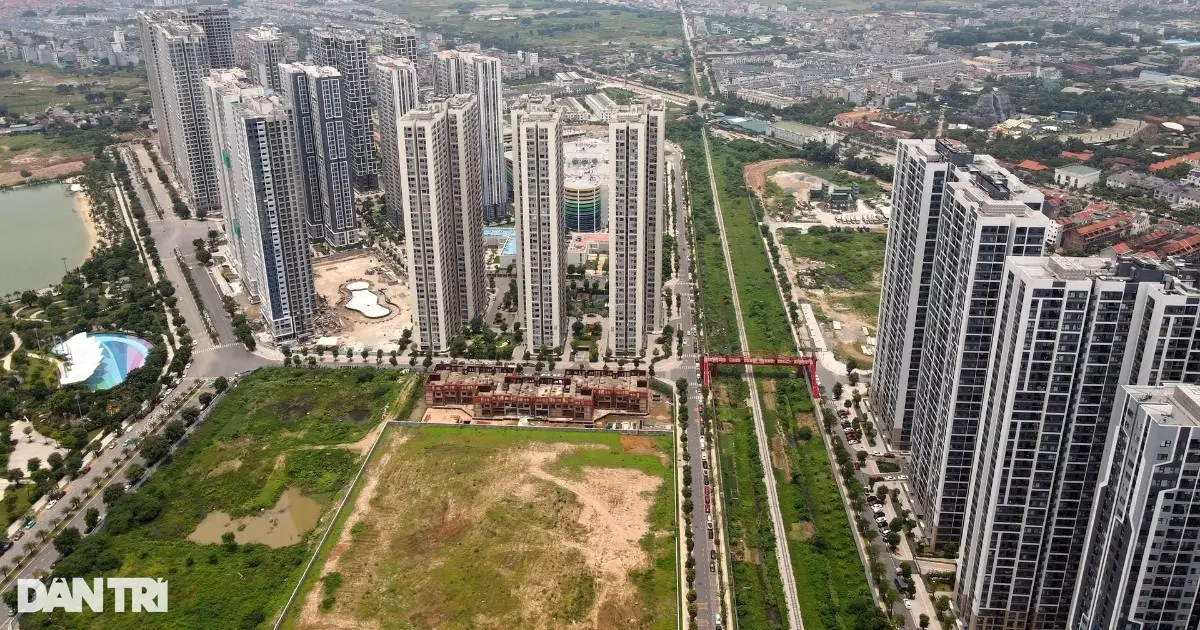 pv5mux chung cu crop 1739444877097