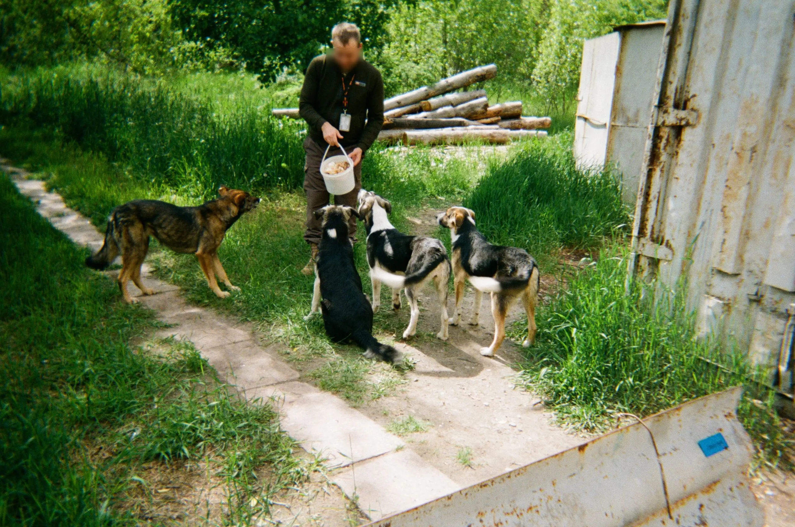 sz772c photograph 4 2560x1697 1