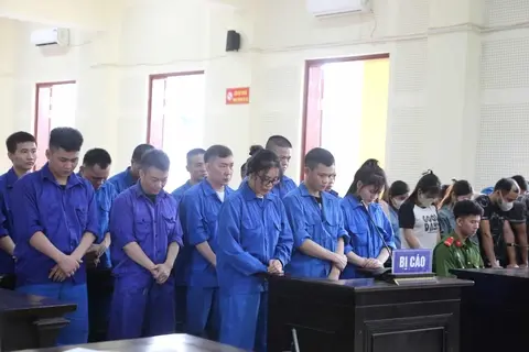 vbhha0_0lua-daocampuchia-1760526148811974477520.webp