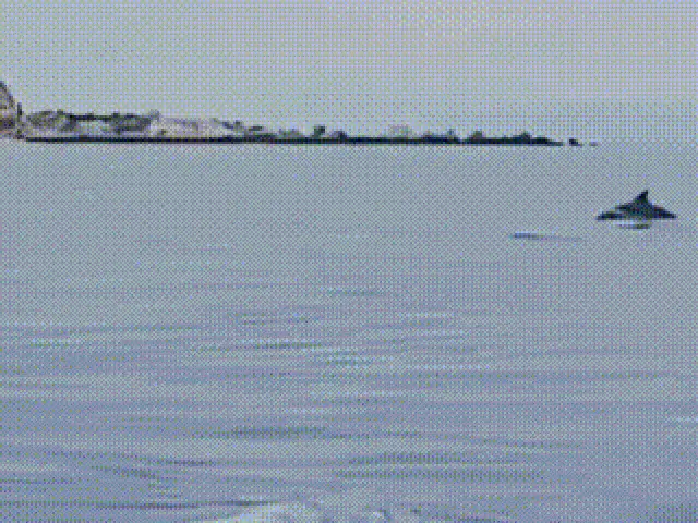 w58d6h adt1760259131 copy 43636b27 4a5e 4644 a2c3 60cbd53