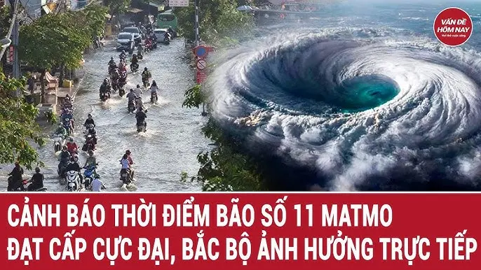 wt4u2v hq720
