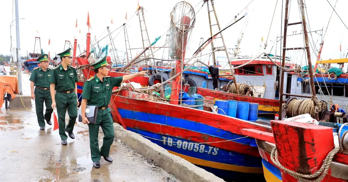 xic8kz iuu thai binh 5167