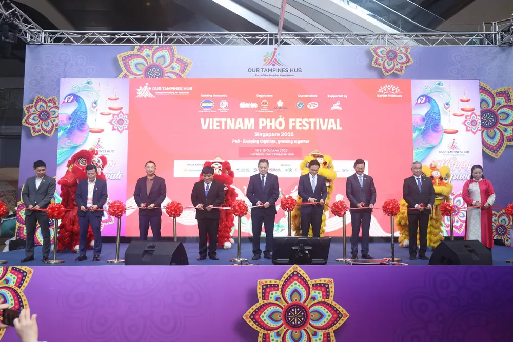 zhotha vna potal pho viet su gia van hoa gan ket viet nam singapore 8347732