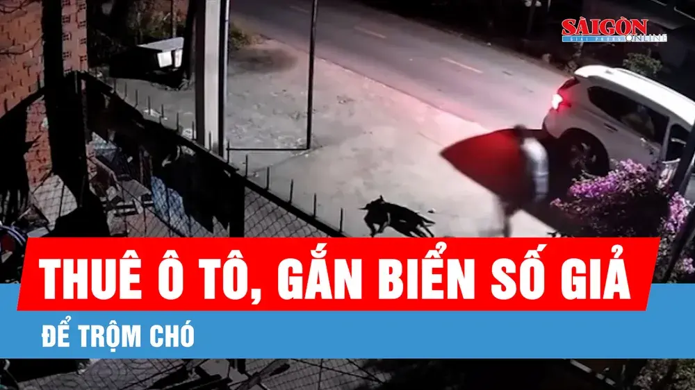 09qb47 tit yt sggp00 00 48 12still4384 663 5761.jpg