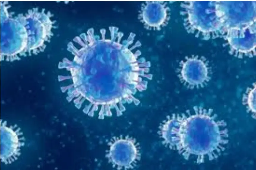 0kema0 Screenshot 20250524 220327 Docs