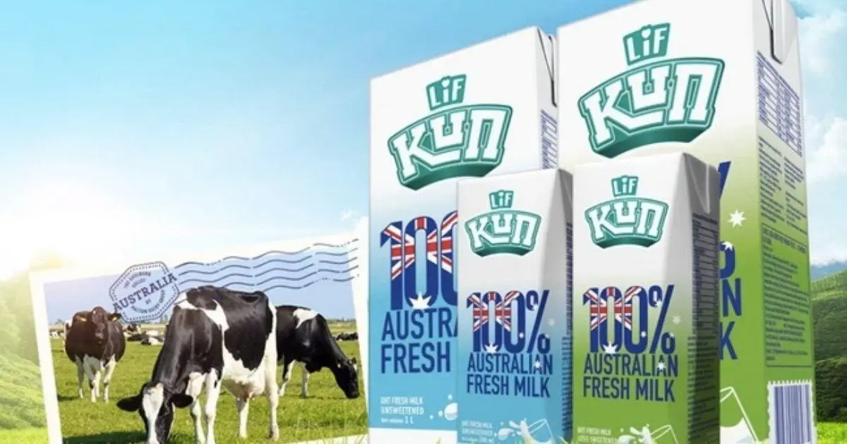 1tqpvg 22375 sua idp cover 1644211452