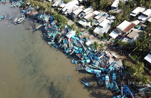 1zy5a3 song cau 1 17627397267591276123632