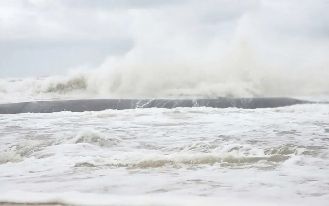 241fd2 ap thap nhiet doi 17628486424701930214112 24 0 537 820 crop 17628486450301681117377