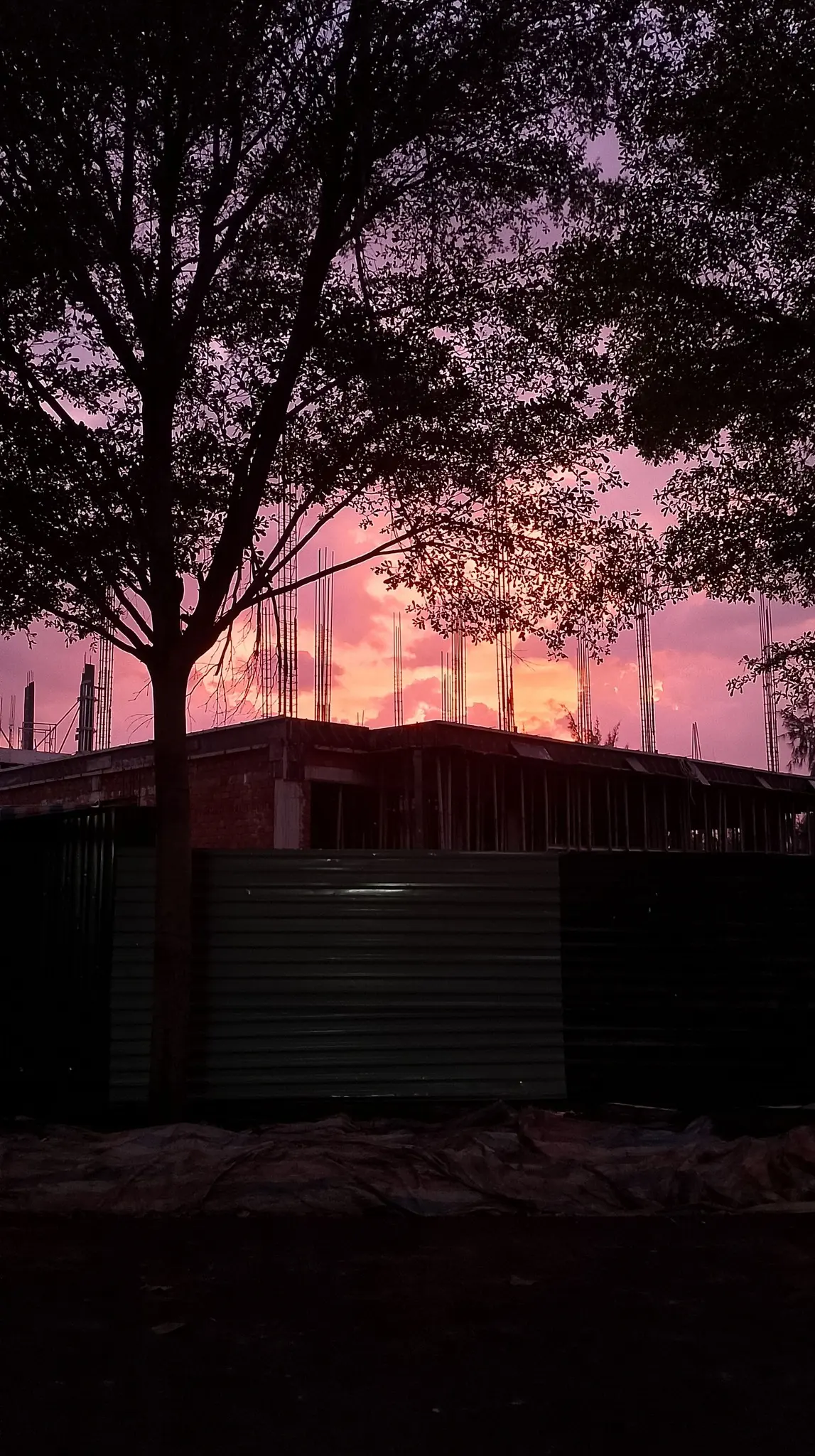 34yysx 589323096274817483551423526946 084533 1764126183946 17641261841401997945807