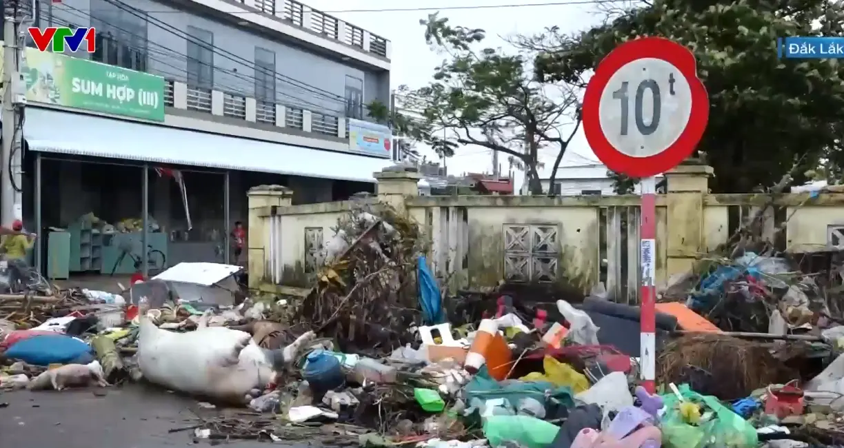 37rjnq xac lon dak lak 1 58654184425617001865731