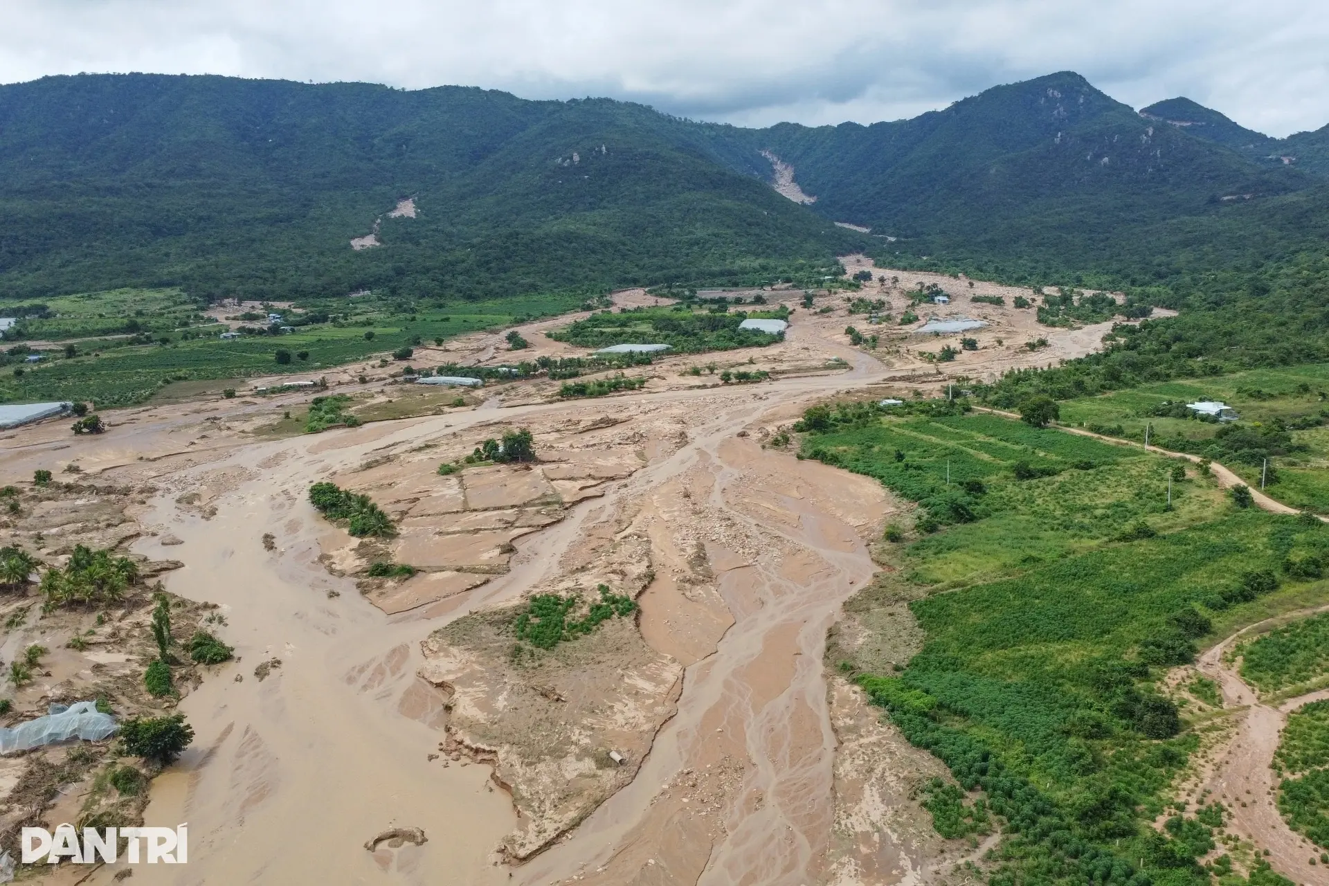 3xbee9 voholamdongminhhaudji0120 cropped 1762074698018