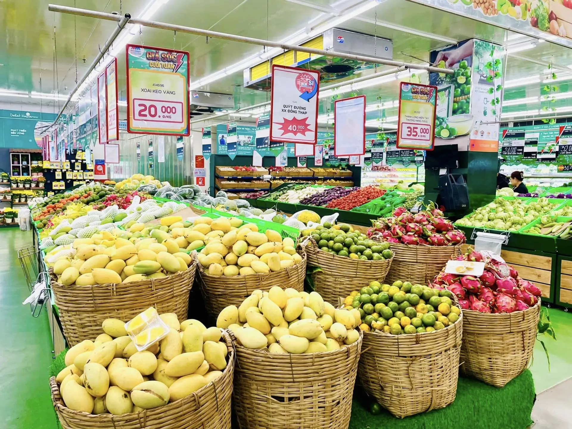 4hvuyn img 0224 1762102397