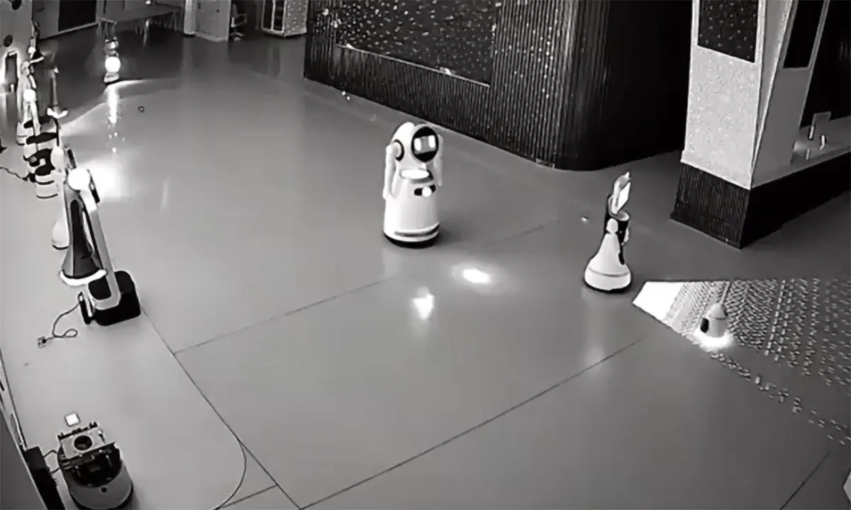 4mepni robot nho nhung co vo ru re 12 robot lon 2