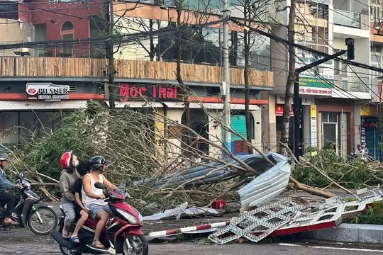 4walc3 thiet hai bao