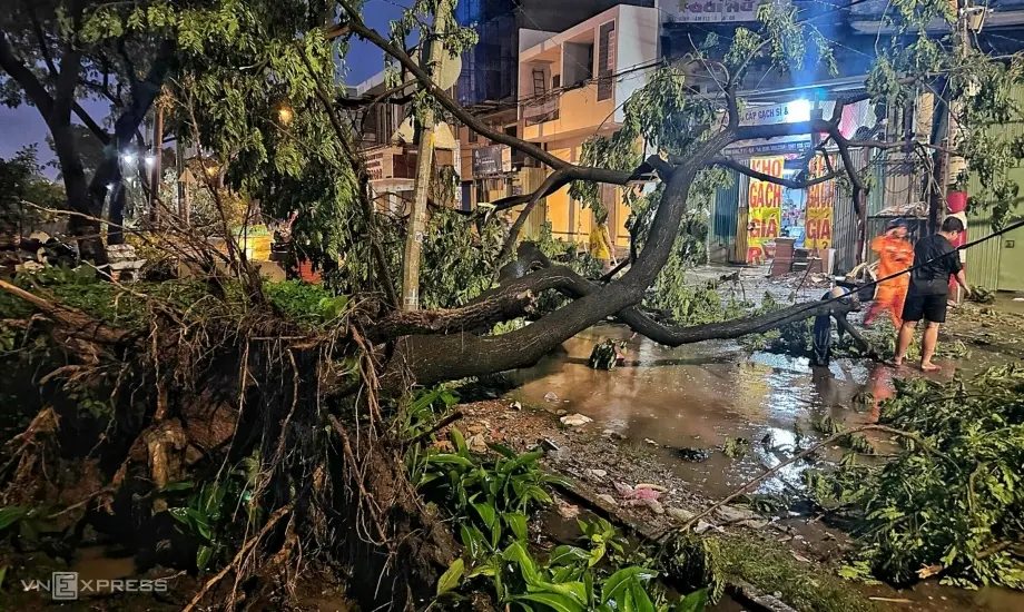 54q1px z4708227993486 3dd0ea98b13d242347d66e491cffd15a 1695128319