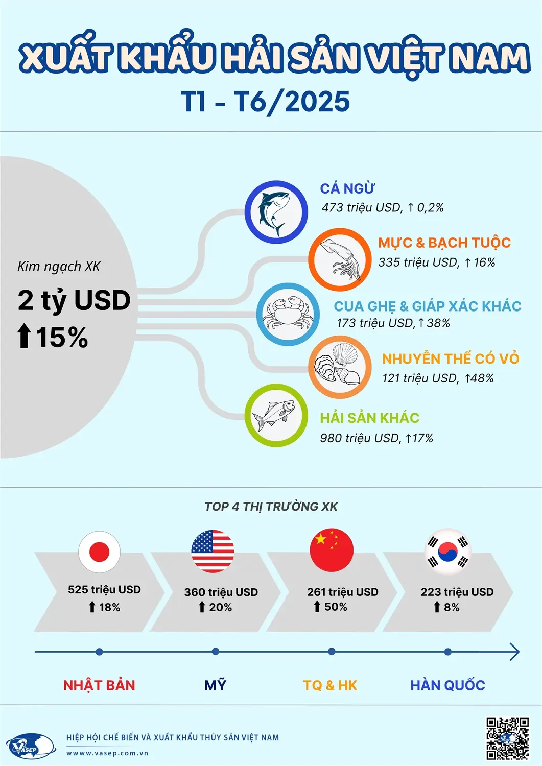 55wfyt INFOGRAPHIC 20XK 20HAI 20SAN 20VN 206T 202025