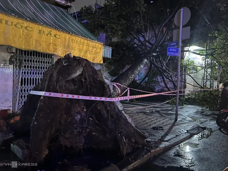 5cqss3 z4708150475706 454eac11b26bafadcc558aadb7a724cd 1695128315