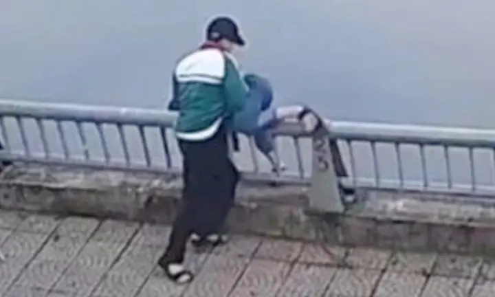 5jvprj lao cai 3 20381670