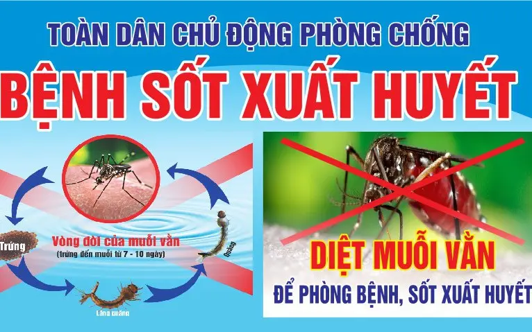 5o05zo 84 free pano phong chong benh sot xuat huyet pdcorel com 2 1753323315527907953177 0 55 479 821 crop 17533233564301529245505