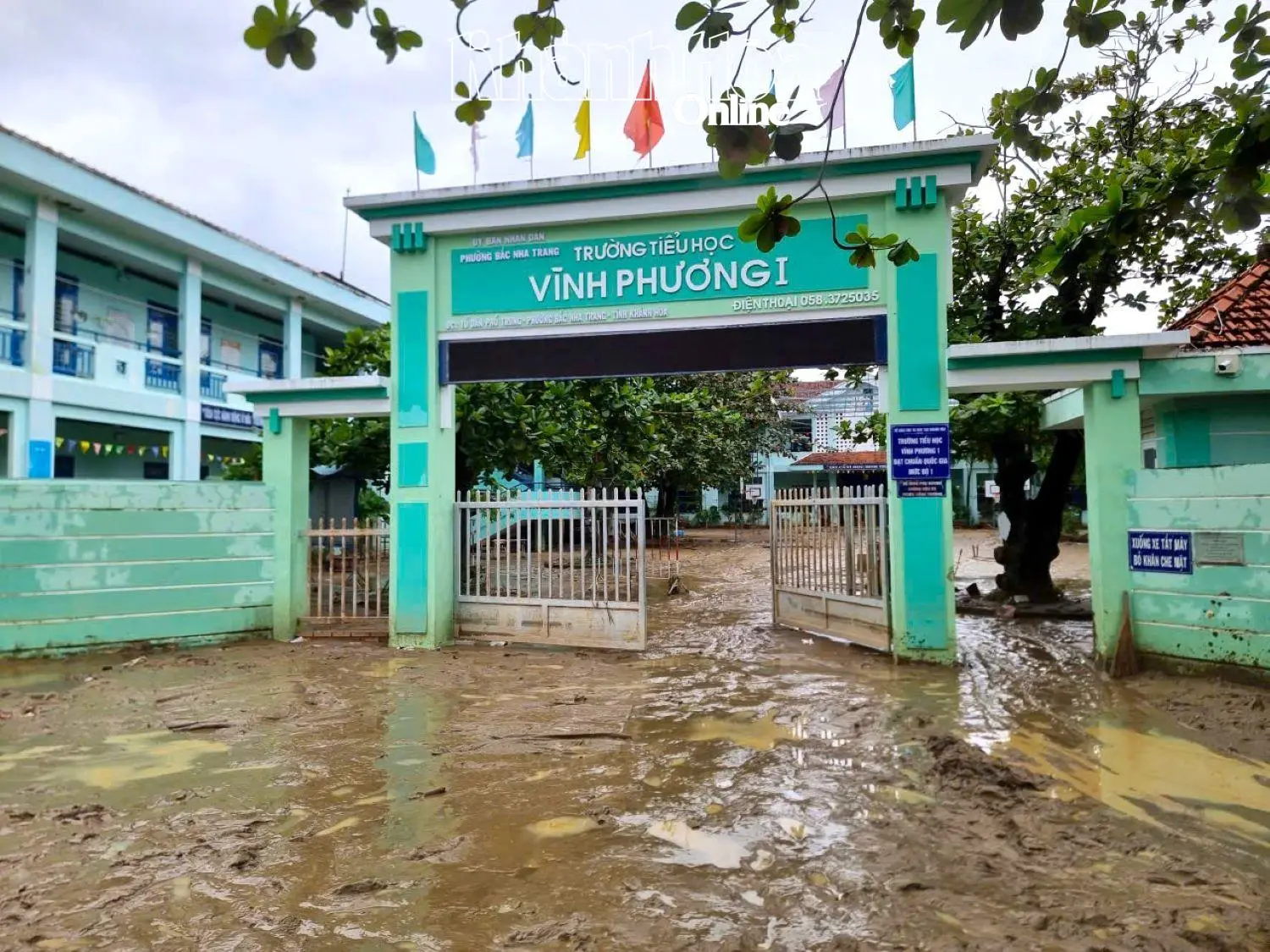 6hr3i4 truong 20251126091353