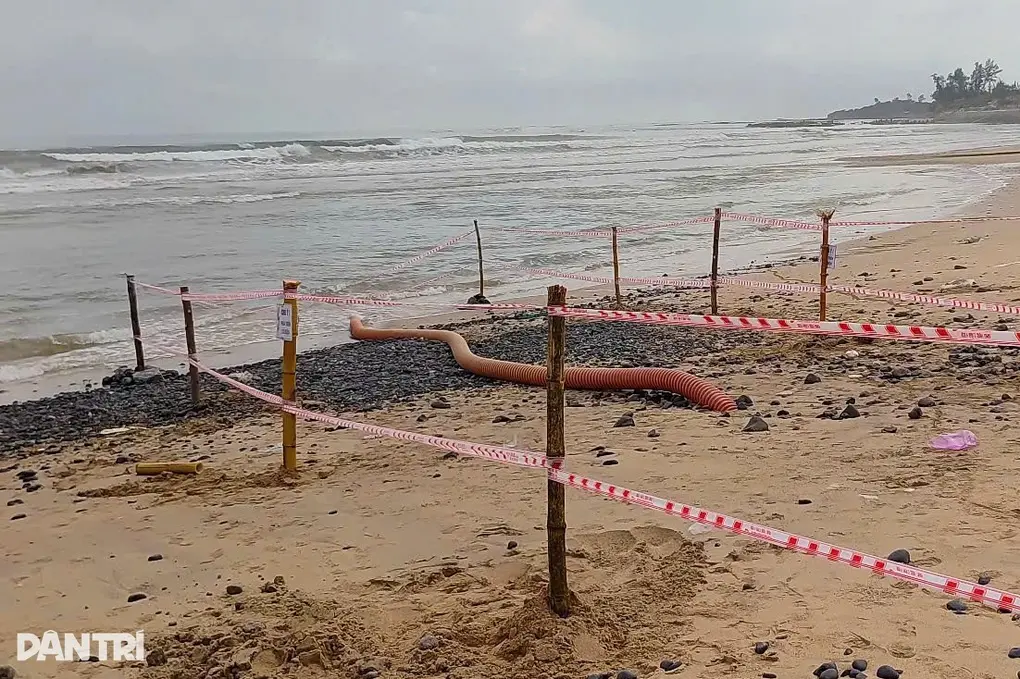 7ibmz1 cap ngam quang ngai quoc trieu 1jpg 1763030634740