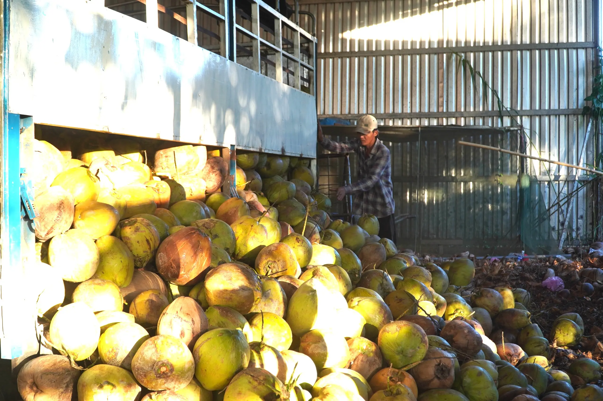 7is5t0 anh dua kho tang gia manh 1761464083745467396217