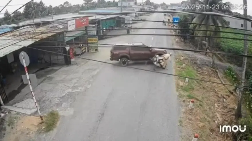 8bm14h thanh nien lai oto bien so gia tong canh sat giao thong bi b 1764409599