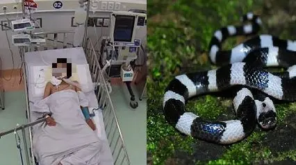 8ww6u7 ran can 2 censored 1198