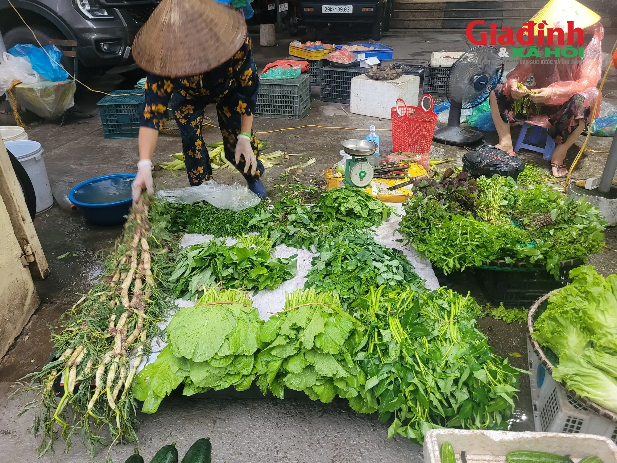 8y8ixw base64 17562254339961037661105 1756265316686 175626531719547753026