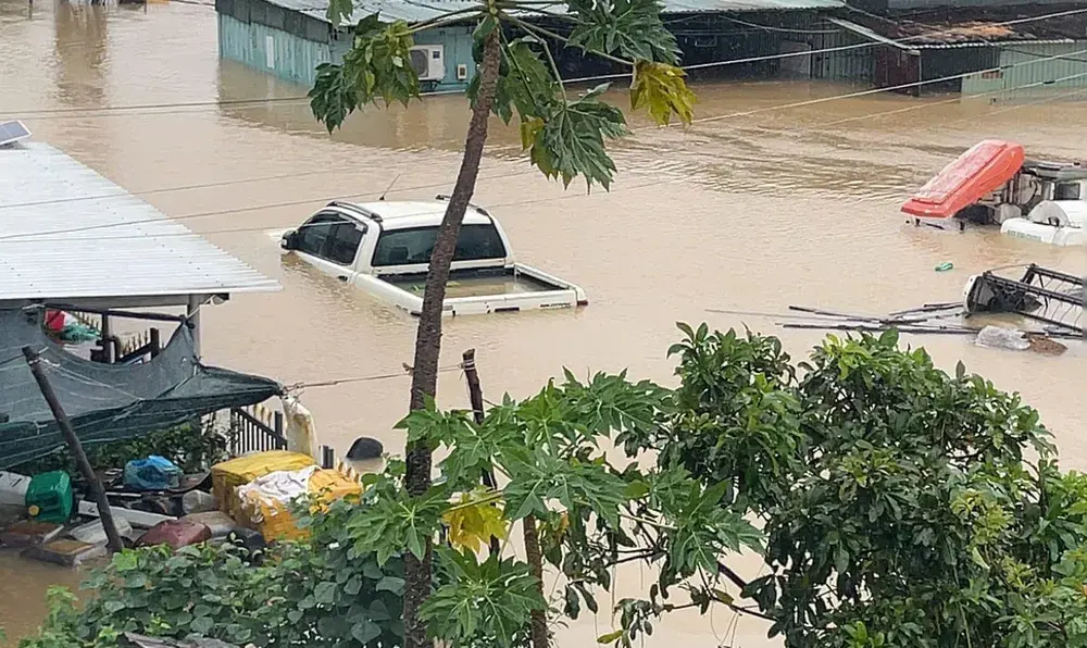 9c5xvv keu cuu 293 7414.jpg