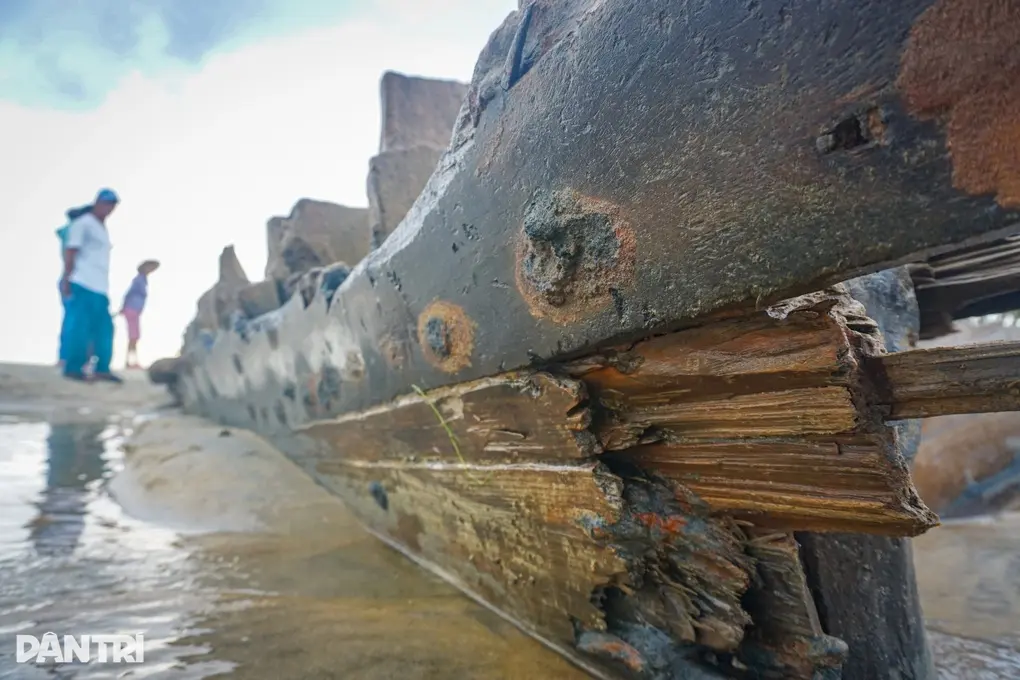 9fyu8l tau go co phat lo o bien hoi an de xuat khai quat khan cap 3 edited 1762912408844