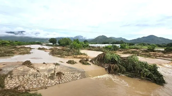 9hyss1 z7180762117096c9cb70d080107ee046bf4abfe885355a 13035768