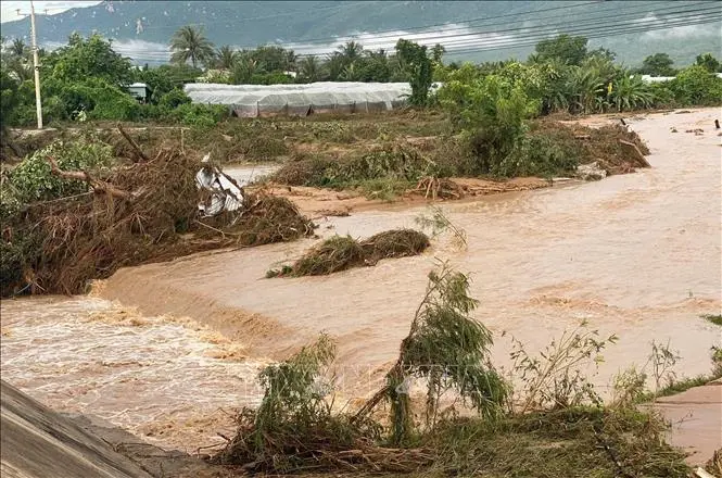 9lyvbc lam dong 071125 1