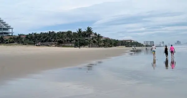 9u6k31 screenshot 106 17626648194211383667644 276 630 1290 2253 crop 17626648422231861919691